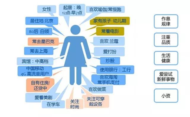 新奥天天开奖资料大全600Tk,深入数据执行策略_WP版58.374