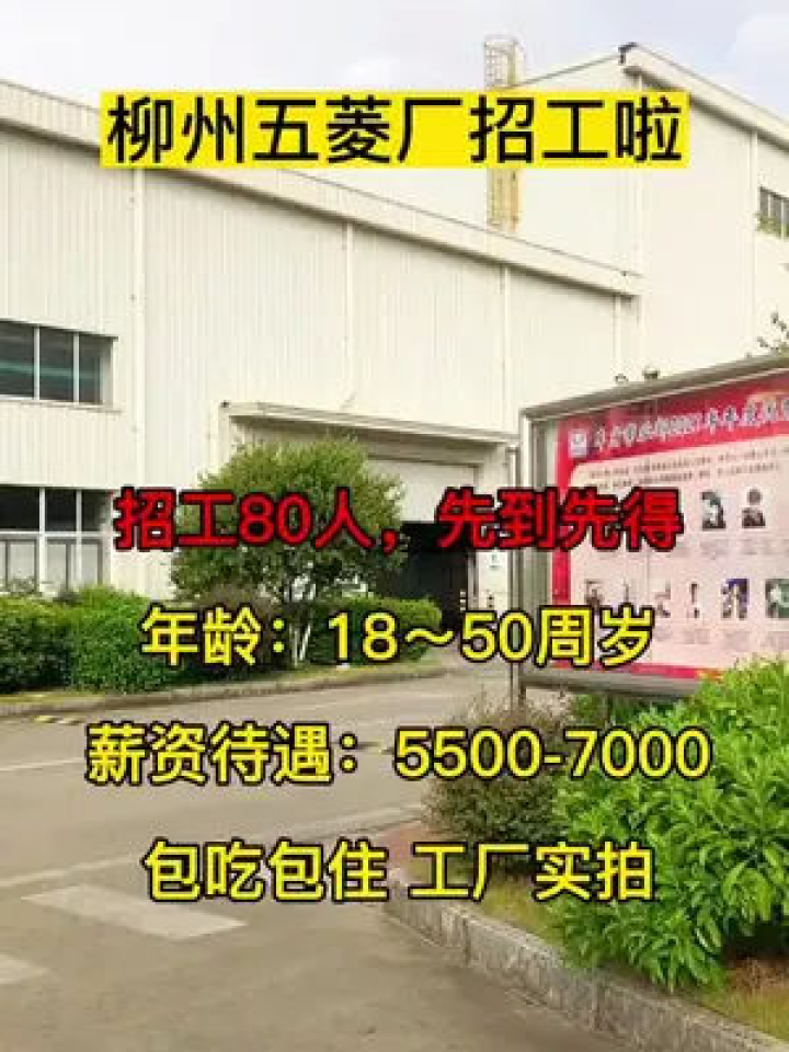 玉林工厂招聘最新动态与就业市场分析