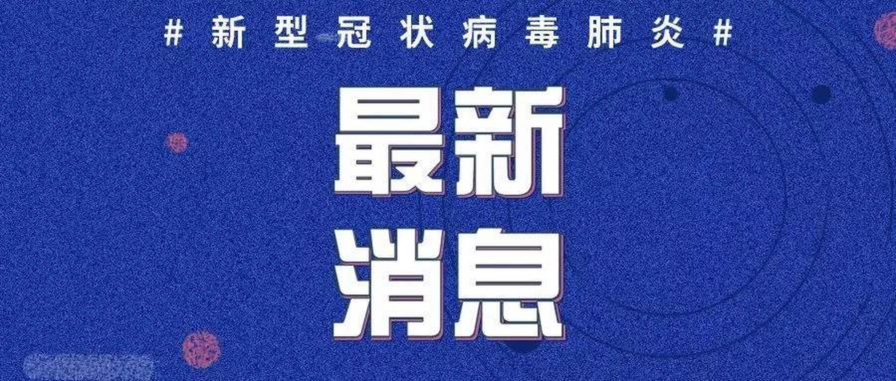 全球新冠疫情动态更新，最新消息与应对策略深度解析